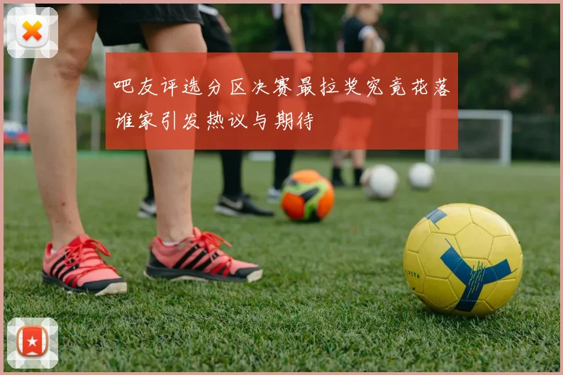 吧友评选分区决赛最拉奖究竟花落谁家引发热议与期待